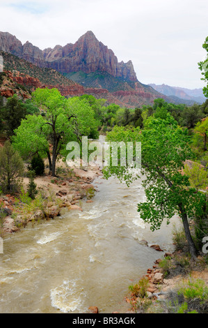 Canyon Junction Mount Zion National Park Utah Banque D'Images