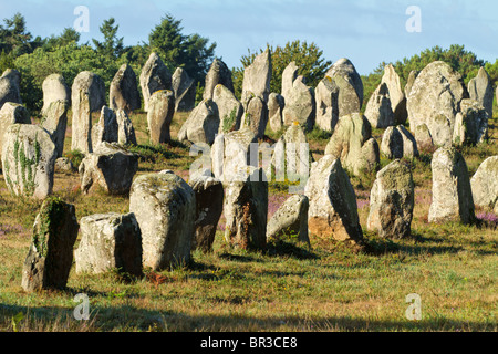 Carnac célèbre alignement monument en Bretagne, Finistère, France Banque D'Images