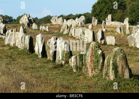 Carnac célèbre alignement monument en Bretagne, Finistère, France Banque D'Images