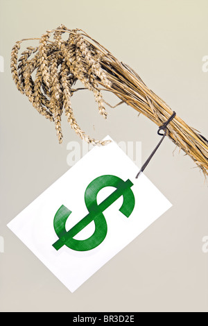 Avec le ticket du grain Banque D'Images