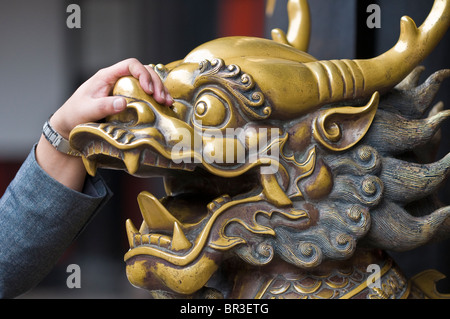 Caresse adoratrice du lion en laiton dans l'espoir d'améliorer la santé, Temple Wenshu, Chengdu, province du Sichuan, Chine Banque D'Images