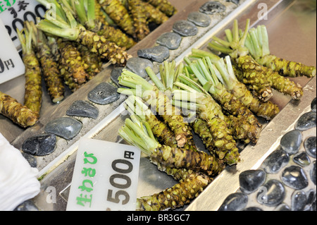 Nagano/ Japon- racines fraîches de Wasabi au stand de greengrocery Banque D'Images