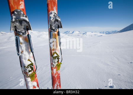 Close up de télémark sur le châssis de l'arrière-pays Canada couvertes de neige dans le Territoire du Yukon près de frontière de l'Alaska. Banque D'Images