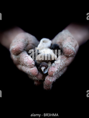 Détail des mains couvertes de sable en tenant des coquillages, le Maine, la Nouvelle Angleterre. Banque D'Images