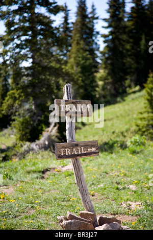 Trail sign in Montagnes La Sal près de Moab, Utah, United States. Banque D'Images