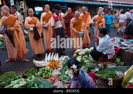 Groupe de nonnes bouddhistes aumône rassemblement à Yangon de légumes du marché. Myanmar Banque D'Images
