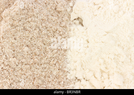 Vue rapprochée de deux types de farine de grains entiers - Complet / et lisse Banque D'Images