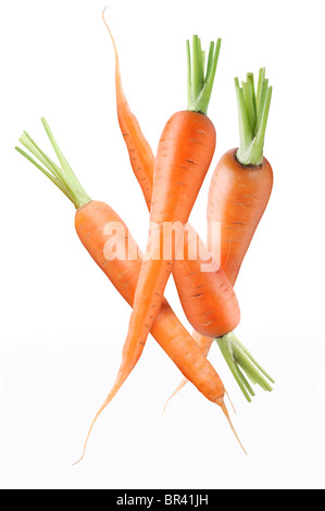 Carottes frais mûrs. Isolé sur un fond blanc. Banque D'Images