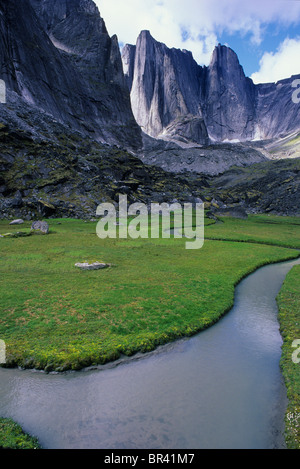 Un rock tour s'élève derrière un sous-alpine medow. Banque D'Images