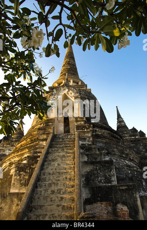 Temple Wat Phra Si Sanphet, Ayuthaya, Thaïlande Banque D'Images