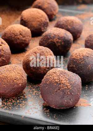 Truffes au chocolat saupoudrés de poudre de cacao Banque D'Images