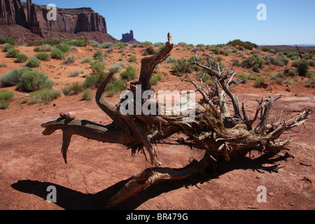 Désert paysage paysage le long de la carte Wildcat Trail in Monument Valley Navajo Tribal Park en Arizona et l'Utah, USA, 15 juin, 2010 Banque D'Images