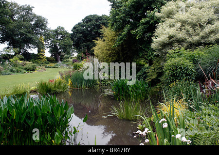 ÉTANGS ORNEMENTAUX ET LACS DANS LE JARDIN BETH CHATTO. ESSEX UK. Banque D'Images