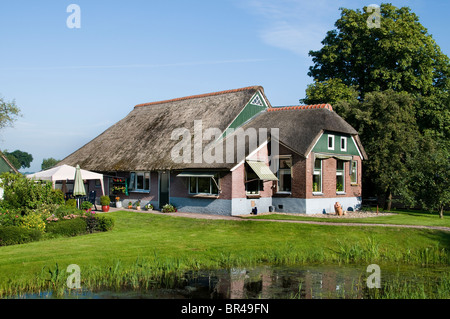 Weerribben Frise Fryslan France agricole Banque D'Images