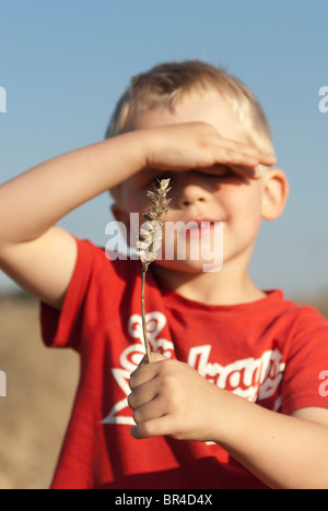 Portrait d'enfant garçon blond avec morceau de blé holding dans la main Banque D'Images