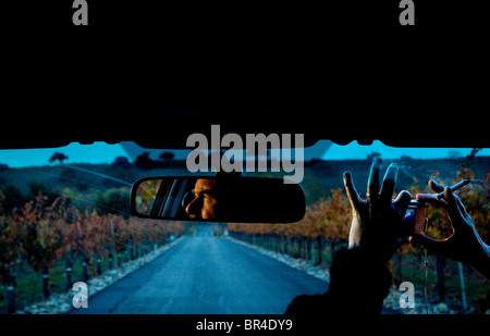 Un homme regarde à la fenêtre de voiture au fading sun, tandis que sa femme prend une photo qu'ils quittent un vignoble dans la région de Los Olivos, Califo Banque D'Images