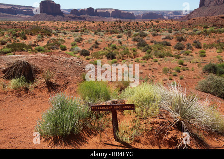 Désert paysage paysage le long de la carte Wildcat Trail in Monument Valley Navajo Tribal Park en Arizona et l'Utah, USA, 15 juin, 2010 Banque D'Images