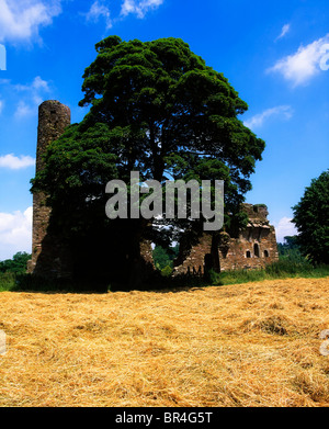 Fougères, Co Wexford, Irlande, St Mary's Abbey Banque D'Images