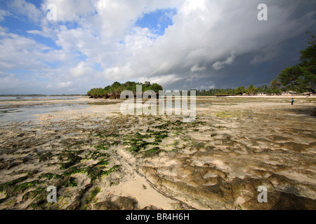 La plage à marée basse et le Pongwe island, Zanzibar, Tanzanie Banque D'Images