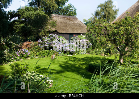 Weerribben Frise Fryslan France agricole Banque D'Images