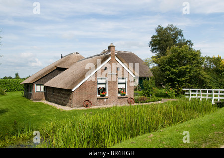 Weerribben Frise Fryslan France agricole Banque D'Images