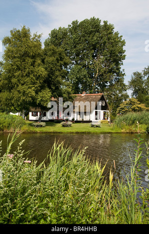 Weerribben Frise Fryslan France agricole Banque D'Images