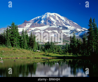Mt. Rainier National Park, Washington Mount Rainier s'élève au-dessus une alpine tarn entouré par les arbres et prés du parc de pulvérisation Banque D'Images