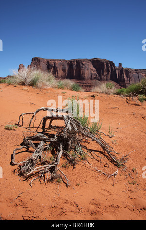 Désert paysage paysage le long de la carte Wildcat Trail in Monument Valley Navajo Tribal Park en Arizona et l'Utah, USA, 15 juin, 2010 Banque D'Images