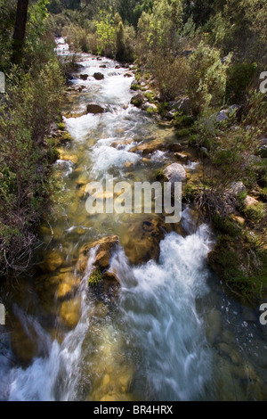 La rivière qui coule dans le Parc National de Cazorla, Espagne Banque D'Images