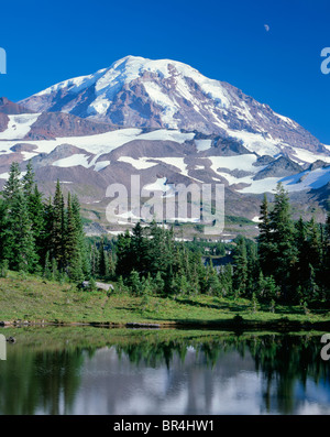 Mt. Rainier National Park, Washington Mount Rainier s'élève au-dessus une alpine tarn entouré par les arbres et prés du parc de pulvérisation Banque D'Images