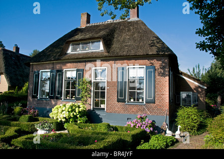 Weerribben Frise Fryslan France agricole Banque D'Images