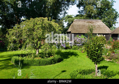 Weerribben Frise Fryslan France agricole Banque D'Images