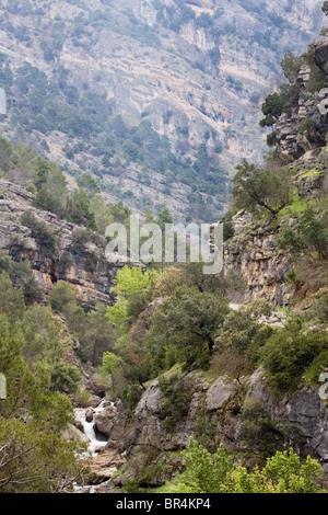 Rivière qui coule le long d'une montagne, le Parc National de Cazorla, province de Jaén, Andalousie, Espagne Banque D'Images