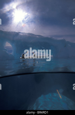 Vue de kayakistes passant par un iceberg qui dépasse profondément dans la mer. La côte ouest de la péninsule Antarctique connu comme Gra Banque D'Images