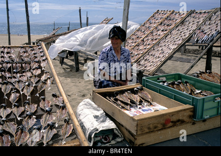 Une femme âgée, poisson salé séché de vente sur un stand sur la promenade dans la ville côtière de Nazaré, Portugal. Banque D'Images