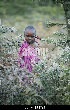 Enfant debout derrière épineux qui entoure le village Masai. Banque D'Images