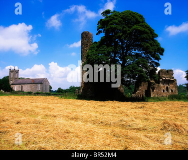 Fougères, Co Wexford, Irlande, St Mary's Abbey Banque D'Images