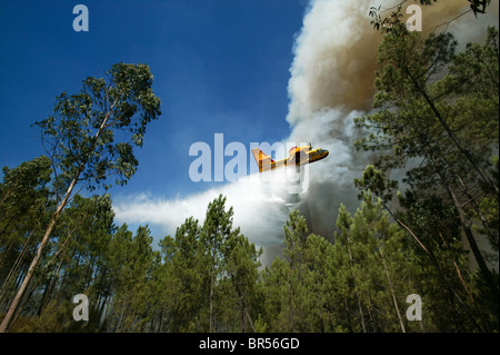 Chute de l'avion de l'eau sur un incendie de forêt dans le centre du Portugal Banque D'Images