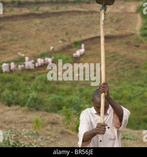 Les prisons du Rwanda contenir des milliers de génocidaires présumés. Banque D'Images