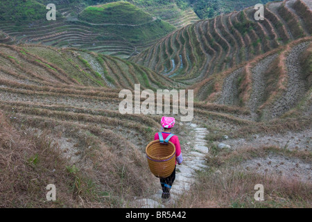 Zhuang girl carrying basket dans la montagne, Longsheng, Guangxi, Chine Banque D'Images