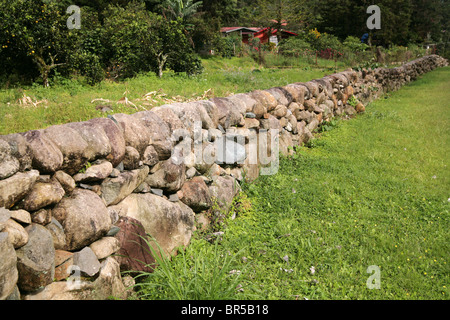 Les paysages ruraux de la province de Chiriqui, région orientale du Panama, à Boquete. Banque D'Images