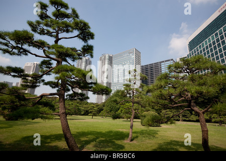 Vues des gratte-ciel dans le quartier de Shiodome comme vu de l'intérieur de Hama-rikyu Teien Gardens, à Tokyo, au Japon, du lundi 23 août Banque D'Images