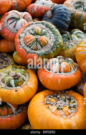 Une pile de citrouilles le turban turc Banque D'Images