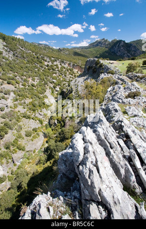 Belle vue sur les falaises de calcaire et le vert Coteau, le Parc National de Cazorla, Jaen Province, Andalousie, Espagne Banque D'Images