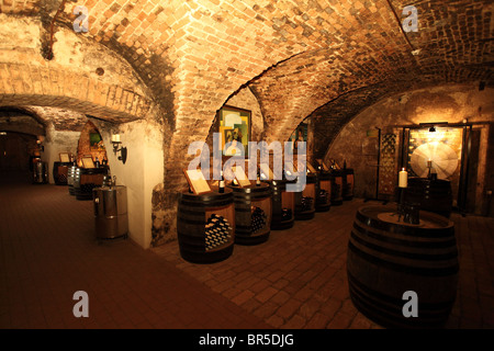 Salon du vin" - le Narodny cave à vin historique dans la région de Trnava, où les 100 meilleurs vins de chaque année slovaque s'affichent, en Slovaquie. Banque D'Images