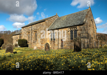 À l'église 'St Farndale Mary's, entouré de jonquilles. North York Moors Banque D'Images