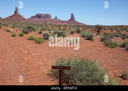 Désert paysage paysage le long de la carte Wildcat Trail in Monument Valley Navajo Tribal Park en Arizona et l'Utah, USA, 15 juin, 2010 Banque D'Images