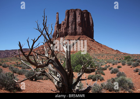 Désert paysage paysage le long de la carte Wildcat Trail in Monument Valley Navajo Tribal Park en Arizona et l'Utah, USA, 15 juin, 2010 Banque D'Images