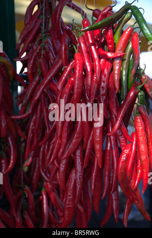 Piment rouge suspendu dans un magasin, boutique à vendre à Sirmione, Lac de Garde, Italie Banque D'Images