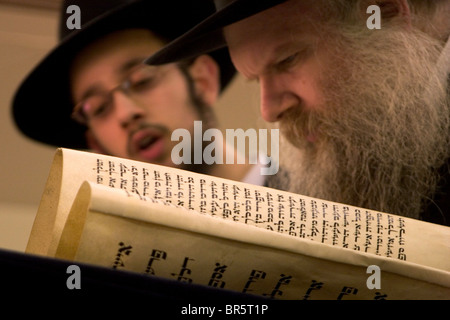 Le rabbin de Gluck Herschel chemin Walford Synagogue lit la Méguila d'Esther de défilement 'le' pendant la fête juive de Pourim. Banque D'Images